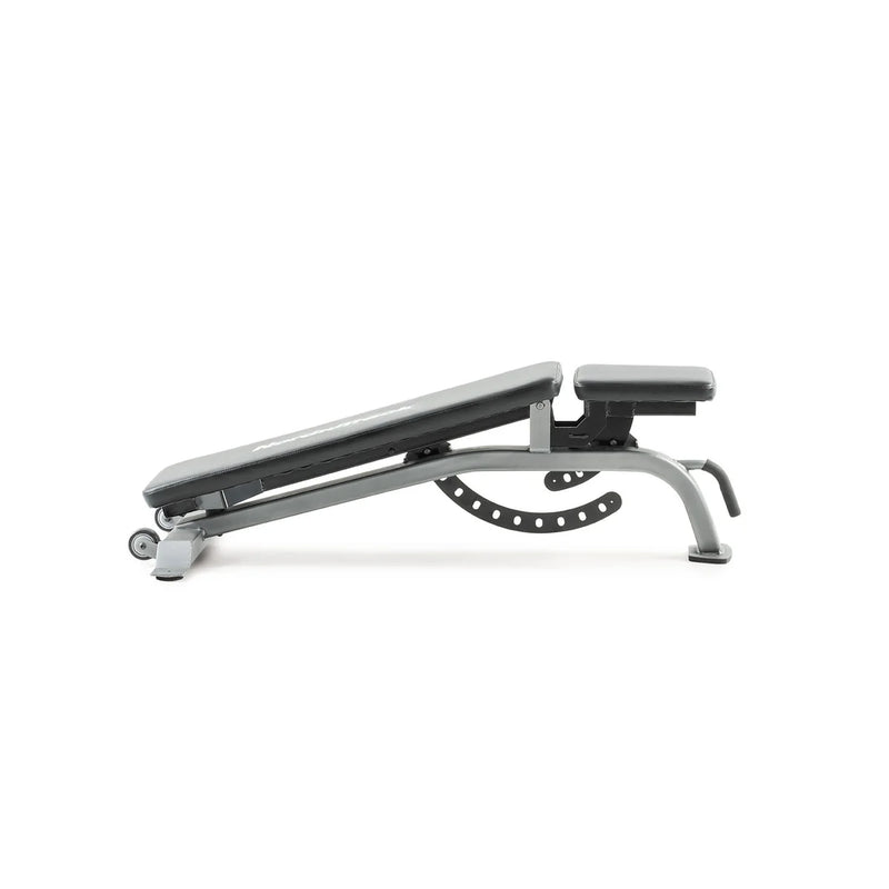 NordicTrack Adjustable Weight Training Bench