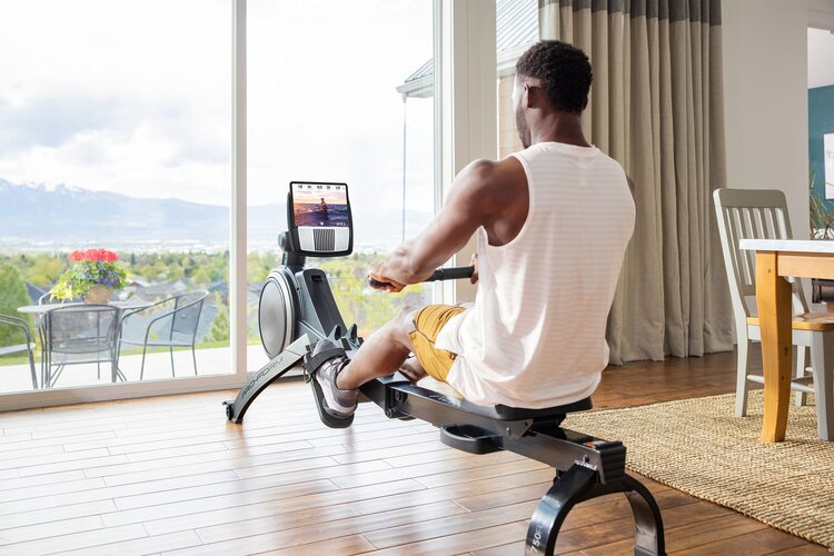 ProForm 550R